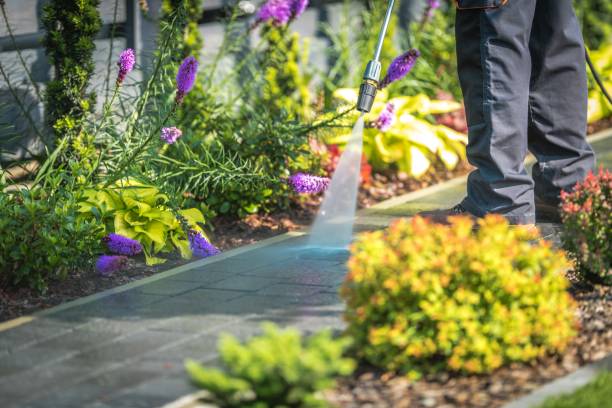 Reliable Medina, TN Pressure Washing Services Solutions